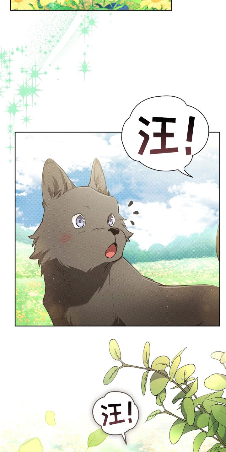 小白狗奇遇记漫画,第96章：【第二季完结】双向奔赴2图