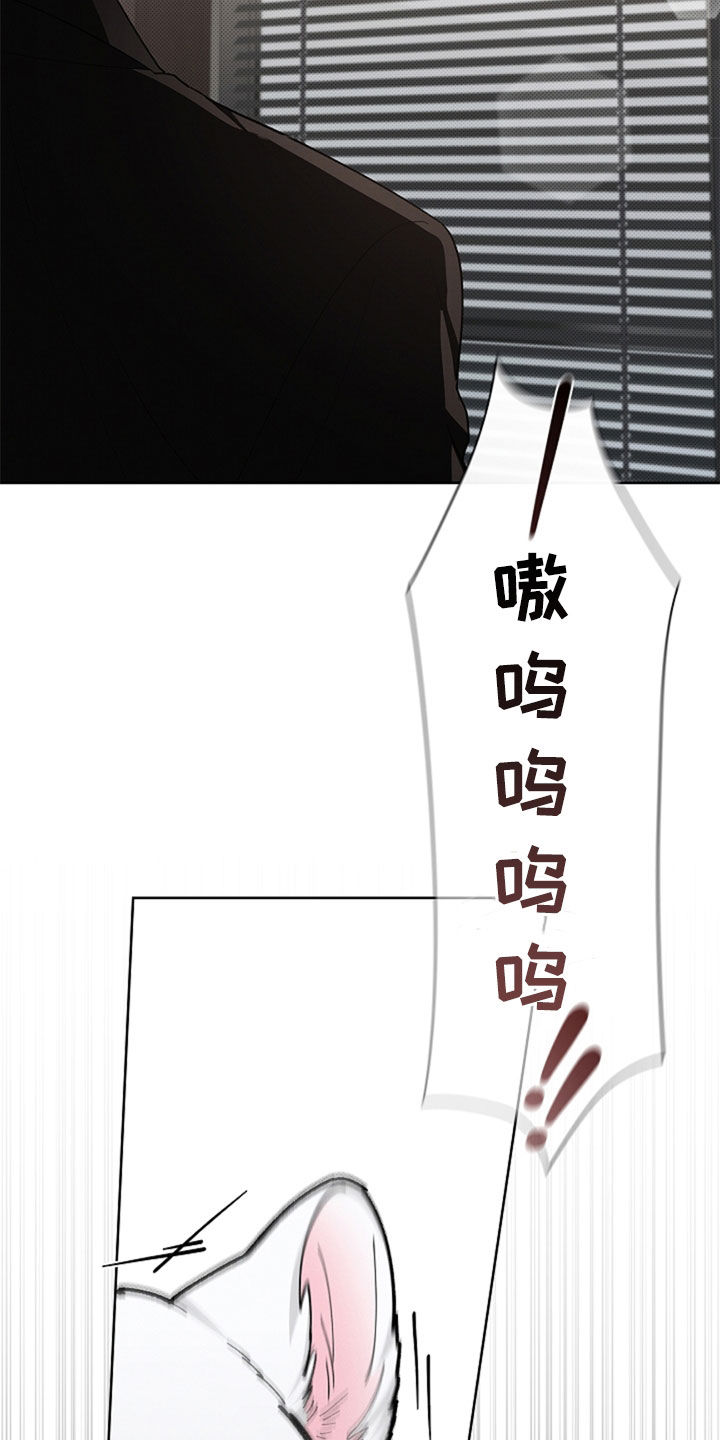 小白狗奇遇记漫画,第35章：你算什么东西4图
