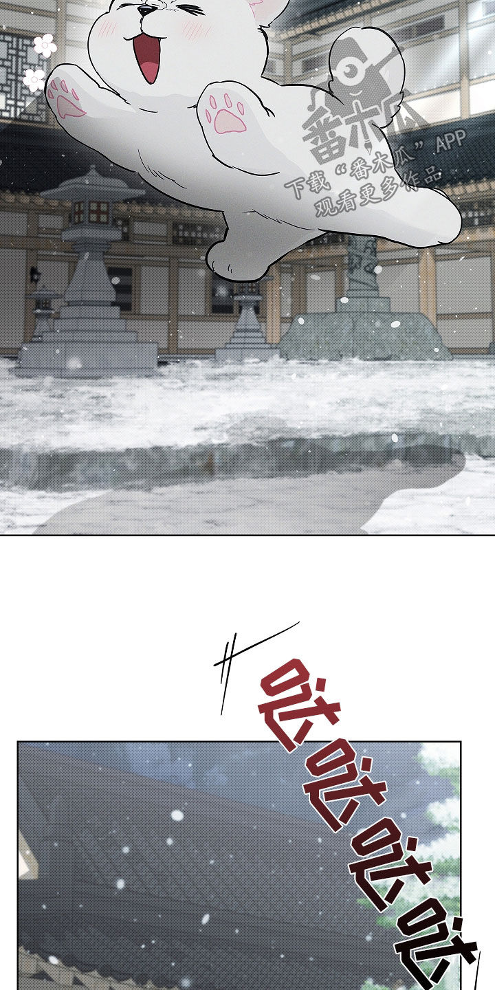 小白狗奇遇记漫画,第75章：【第二季】嬉戏1图