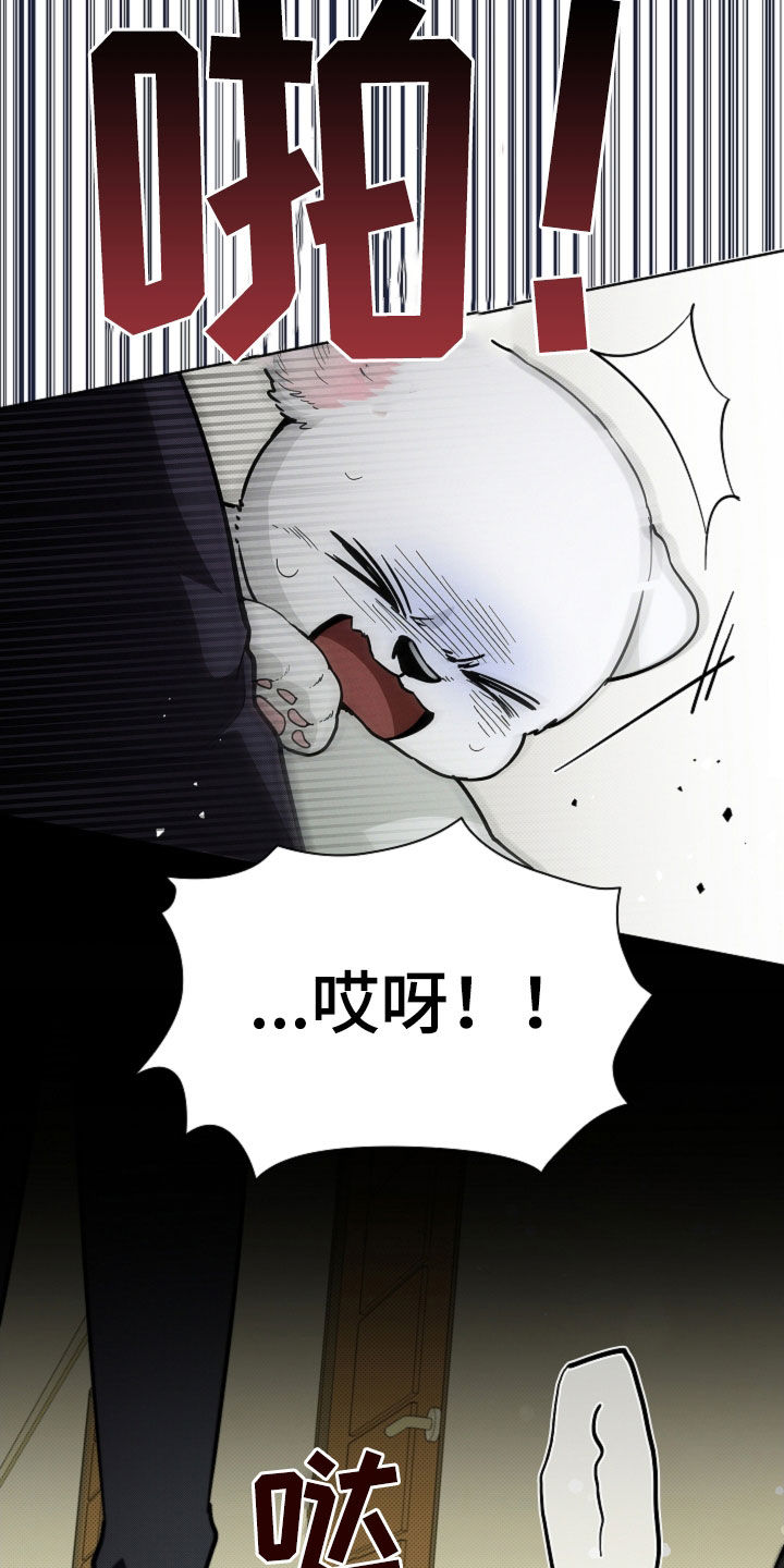 小白狗奇遇记漫画,第40章：逃跑2图