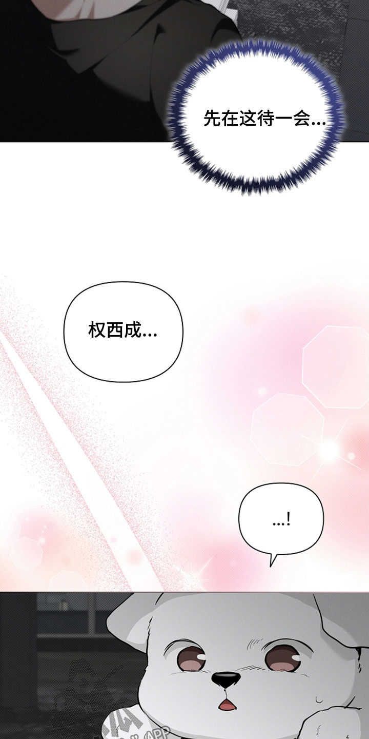 小白狗奇遇记漫画,第47章：他想攻击我2图