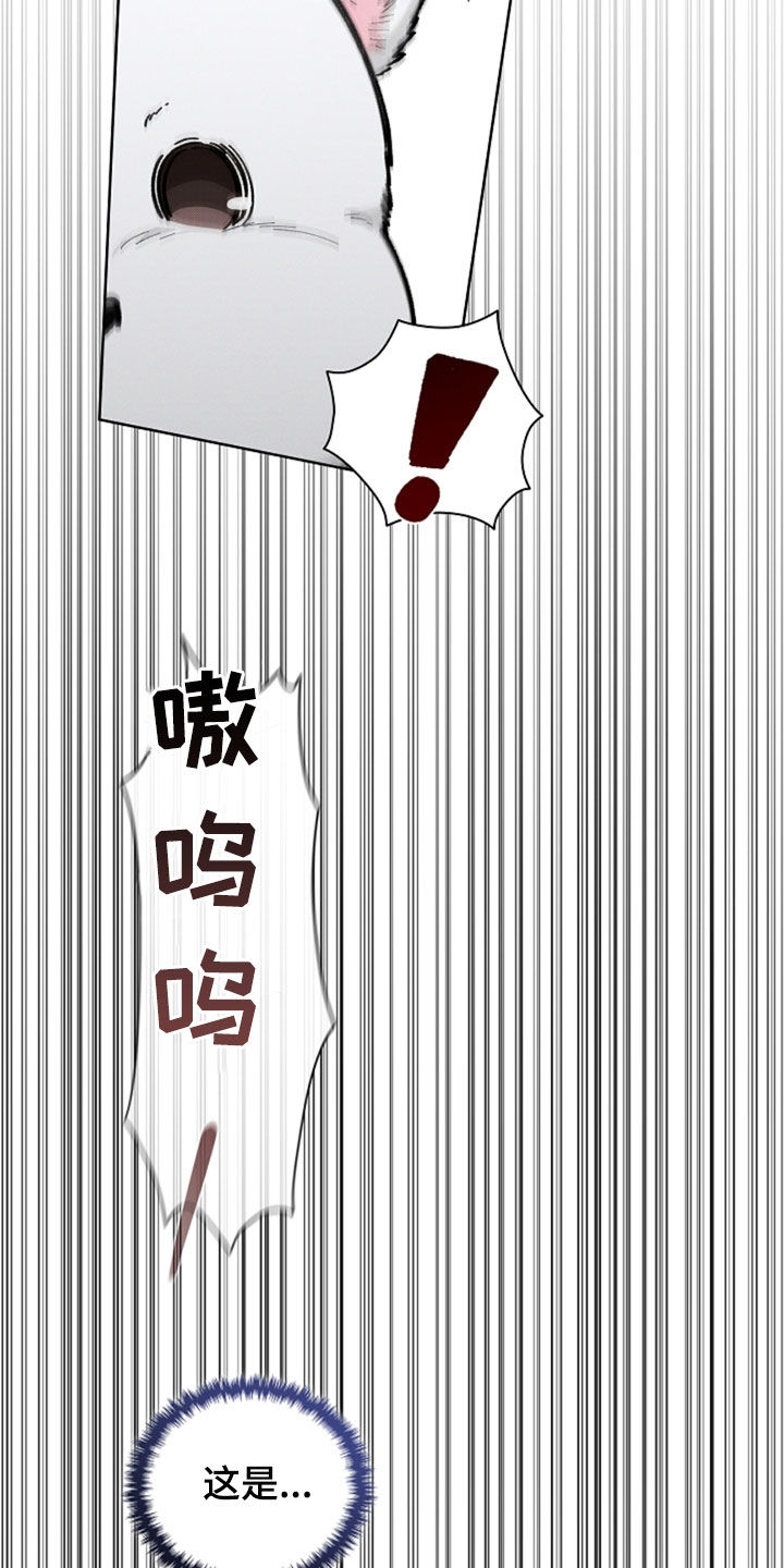 小白狗奇遇记漫画,第35章：你算什么东西5图