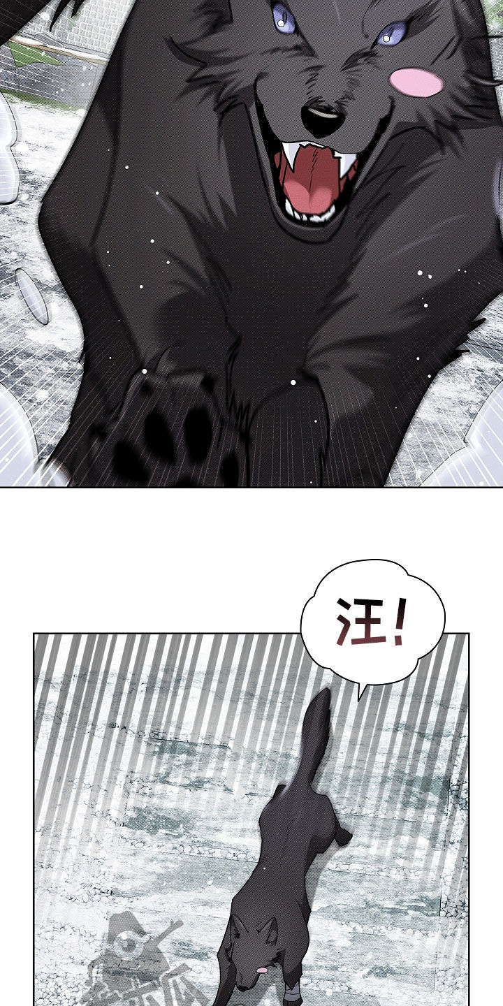 小白狗奇遇记漫画,第75章：【第二季】嬉戏3图