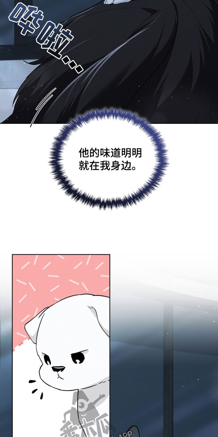 小白狗奇遇记漫画,第63章：命运的安排1图