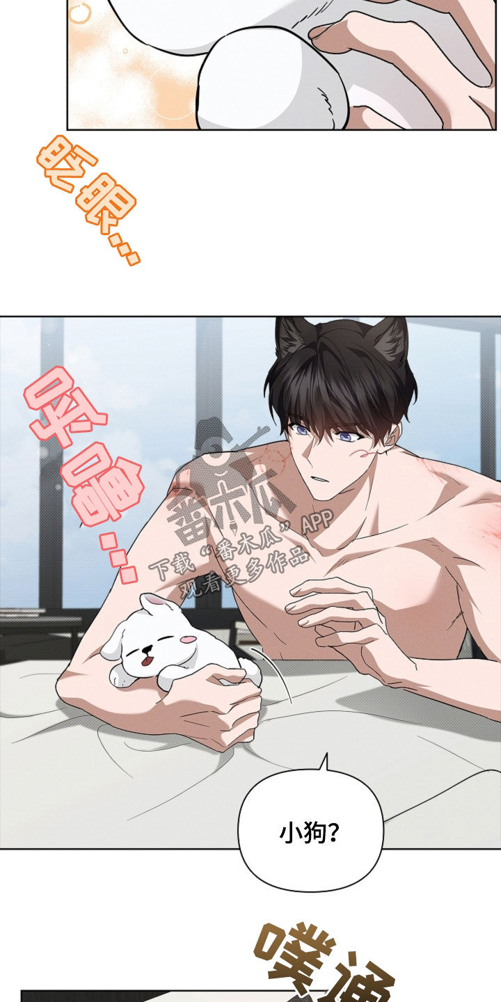 小白狗奇遇记漫画,第62章：食人狼3图