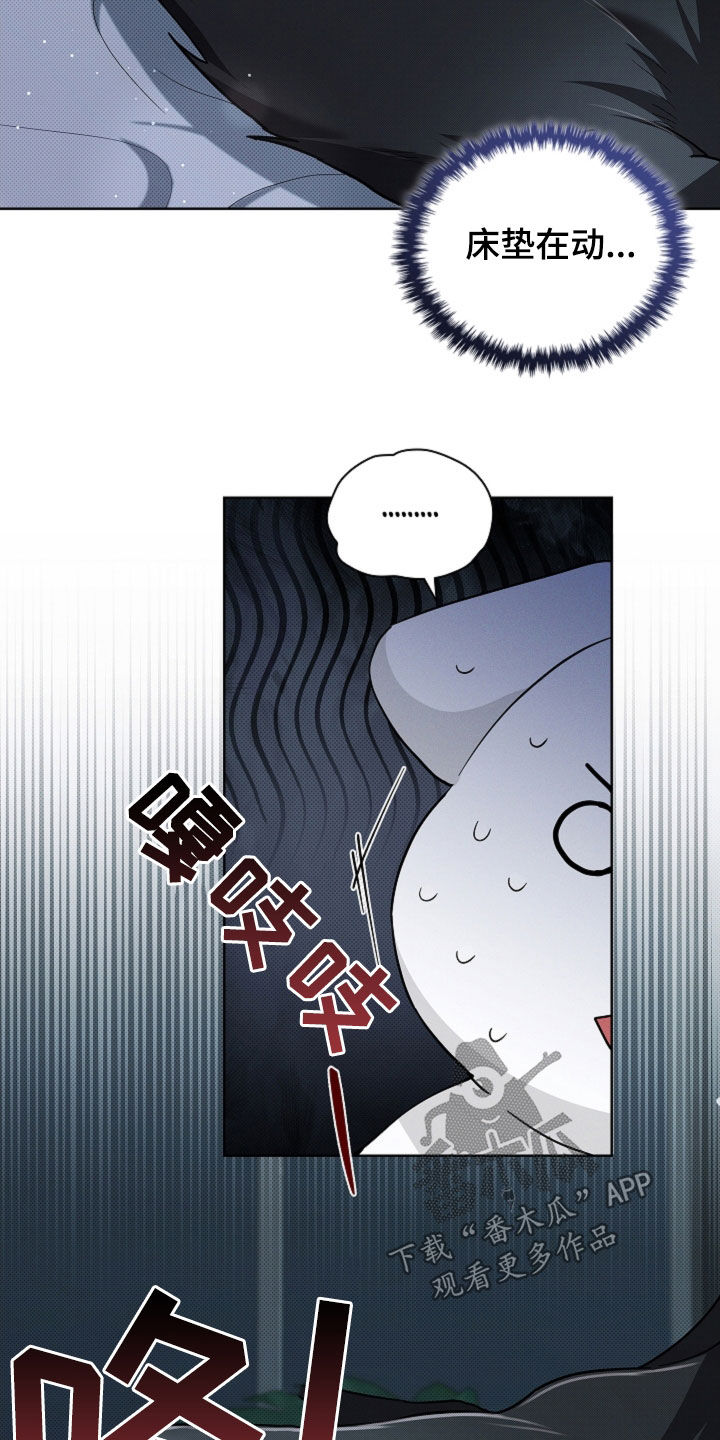 小白狗奇遇记漫画,第63章：命运的安排3图