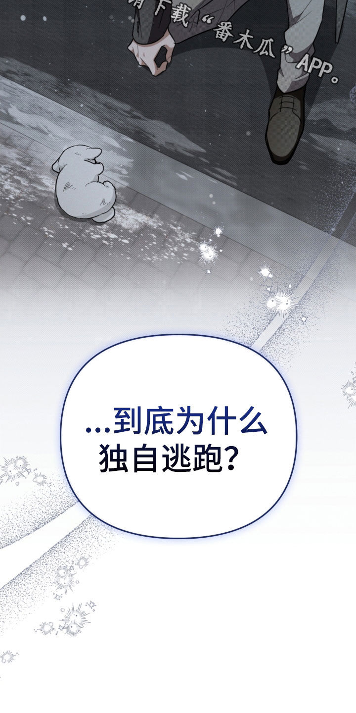 小白狗奇遇记漫画,第40章：逃跑2图