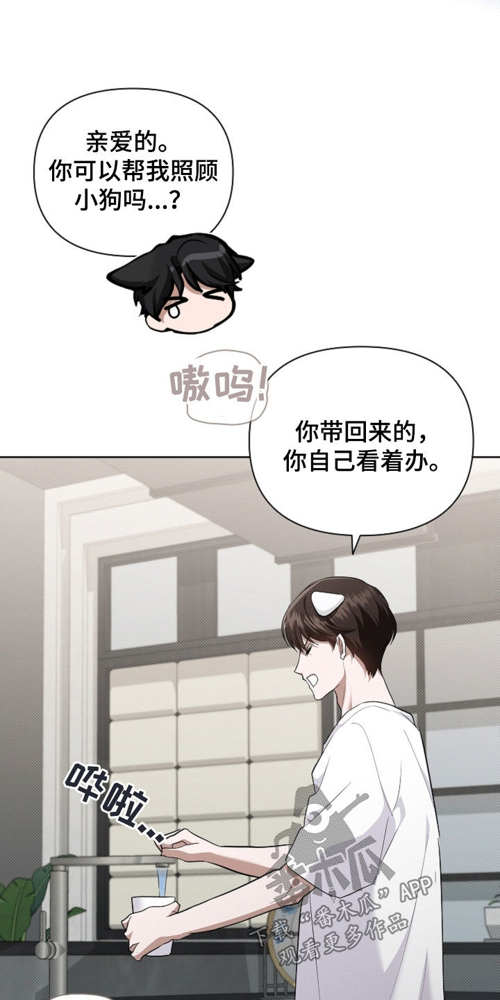 小白狗奇遇记漫画,第100章：【番外】还得我来4图