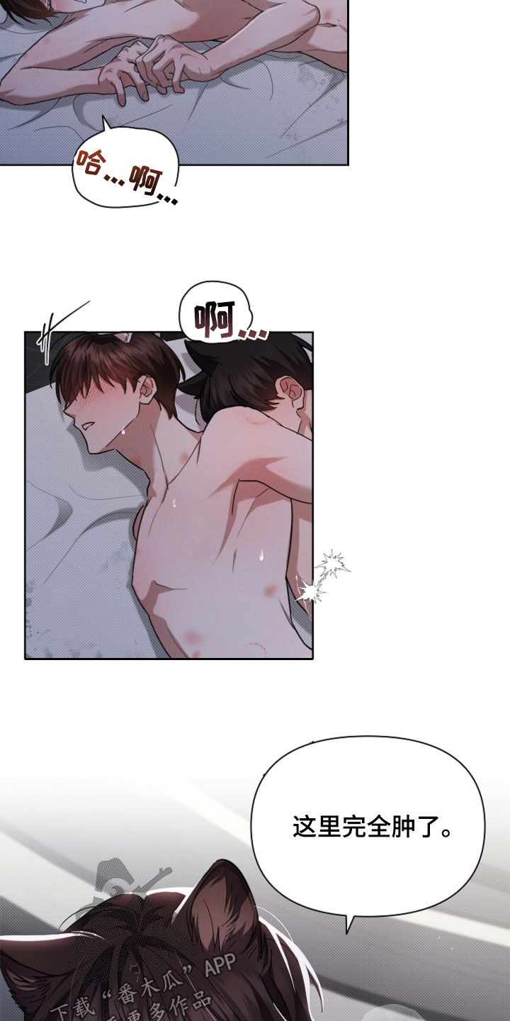 小白狗奇遇记漫画,第61章：真好看2图