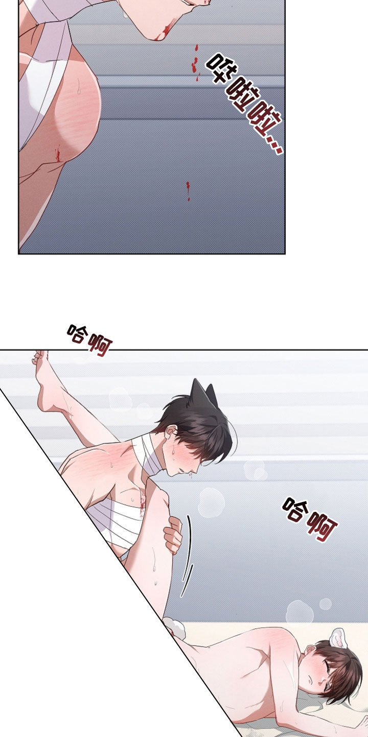 小白狗奇遇记漫画,第91章：【第二季】真碍事4图