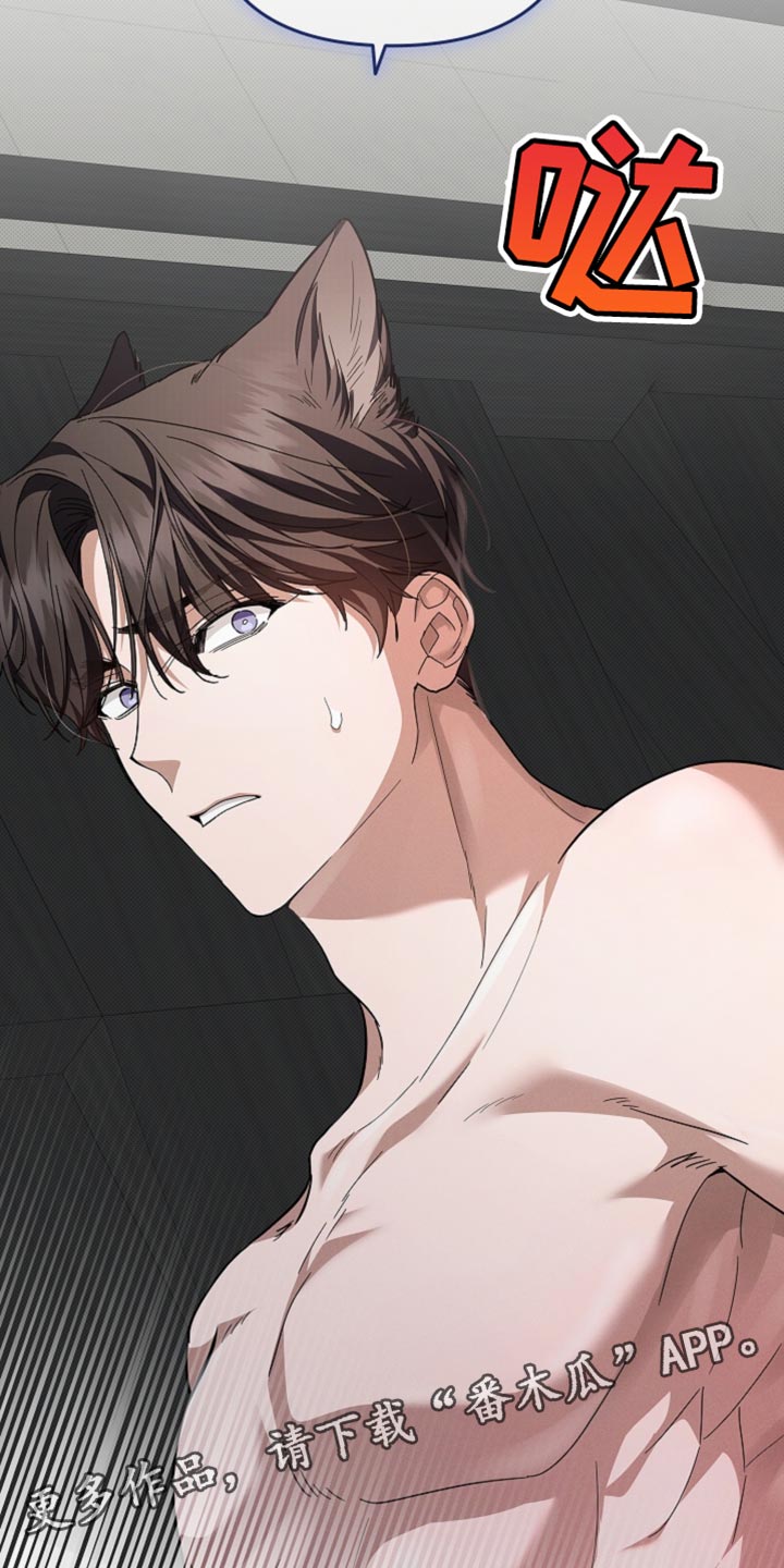小白狗奇遇记漫画,第38章：晕倒5图