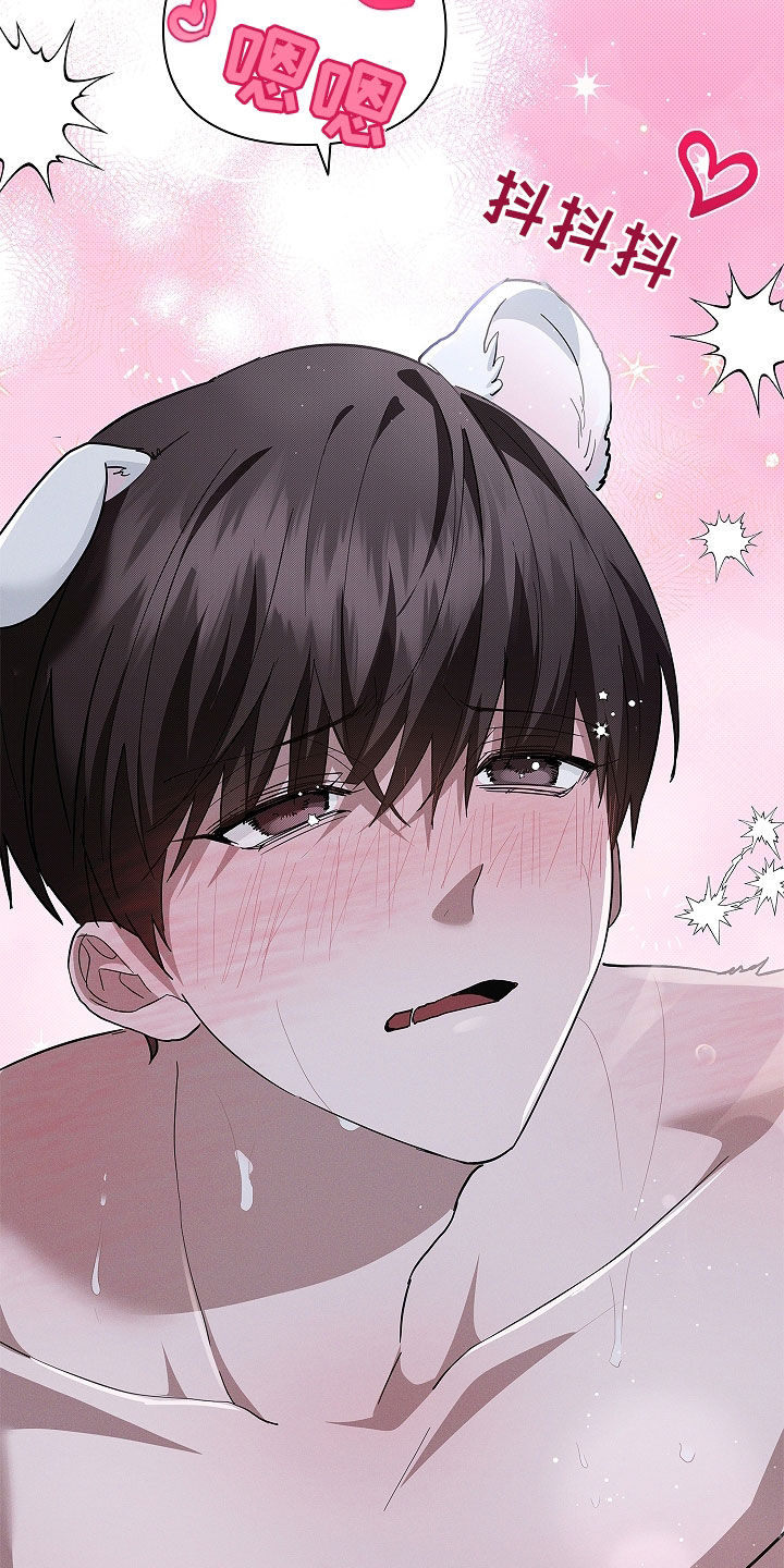 小白狗奇遇记漫画,第71章：【第二季】那我帮你5图