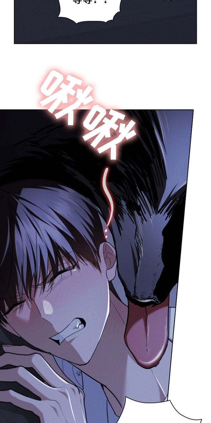 小白狗奇遇记漫画,第47章：他想攻击我1图