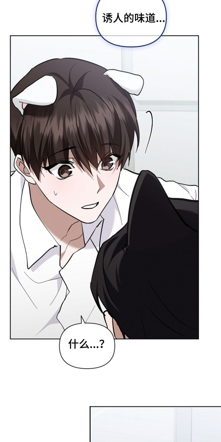 小白狗奇遇记漫画,第89章：【第二季】不可能发生4图