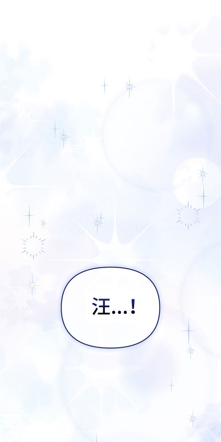 小白狗奇遇记漫画,第48章：去医院1图