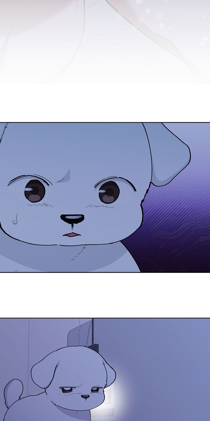 小白狗奇遇记漫画,第35章：你算什么东西4图