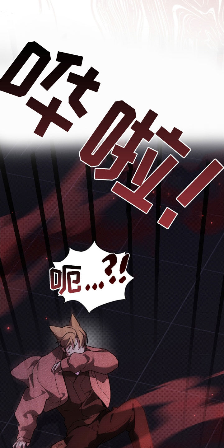 小白狗奇遇记漫画,第84章：【第二季】受伤1图