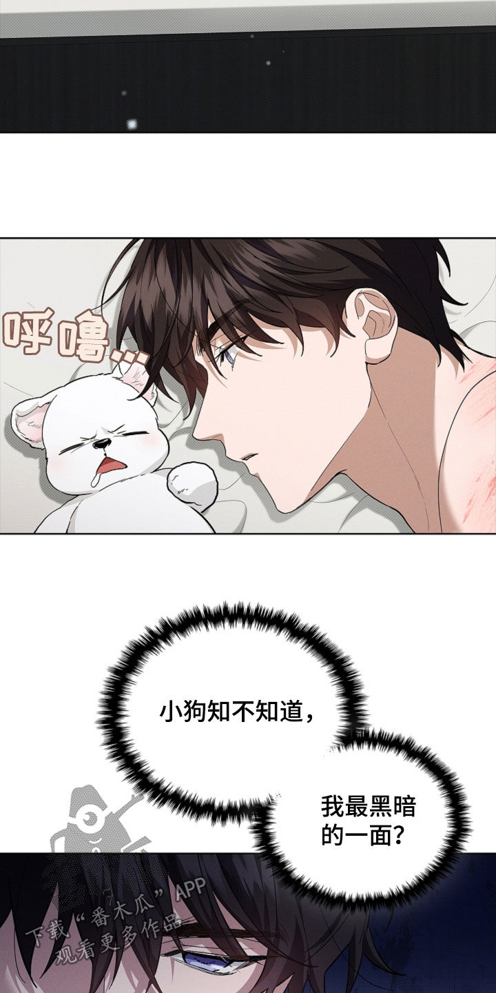 小白狗奇遇记漫画,第63章：命运的安排5图