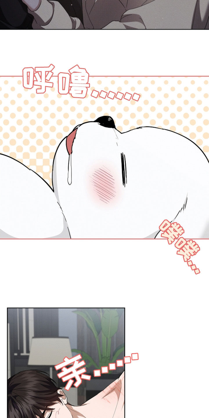 小白狗奇遇记漫画,第63章：命运的安排2图