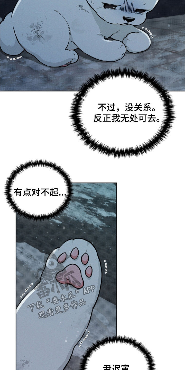 小白狗奇遇记漫画,第40章：逃跑3图