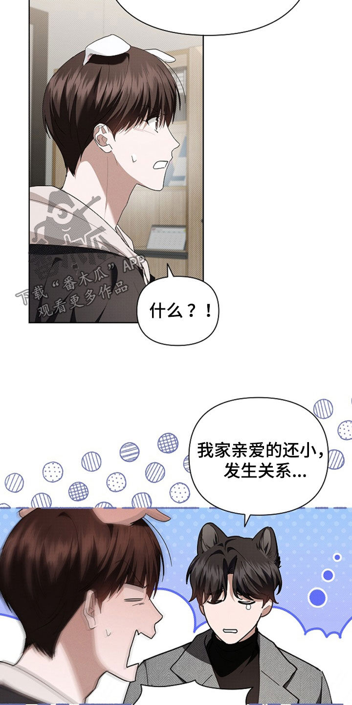 小白狗奇遇记漫画,第49章：建议4图