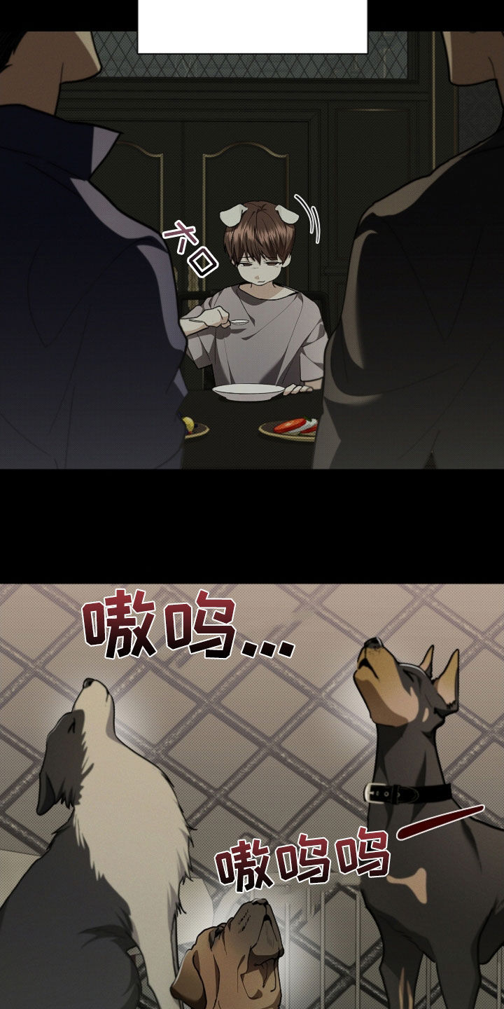 小白狗奇遇记漫画,第41章：体弱多病2图