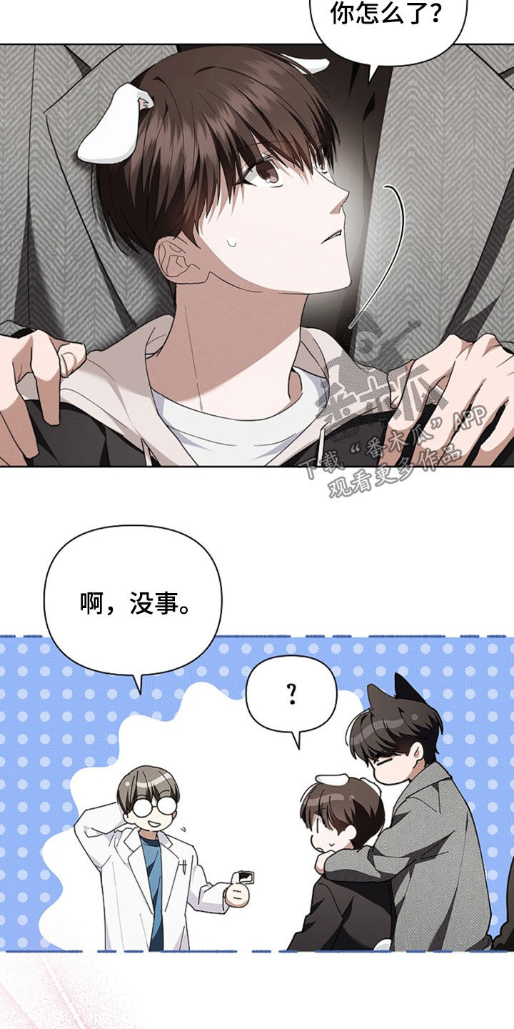 小白狗奇遇记漫画,第49章：建议5图
