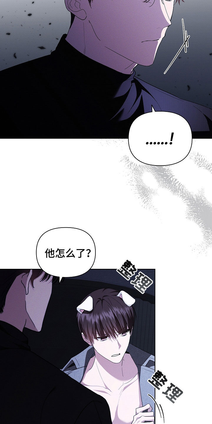 小白狗奇遇记漫画,第45章：报仇1图