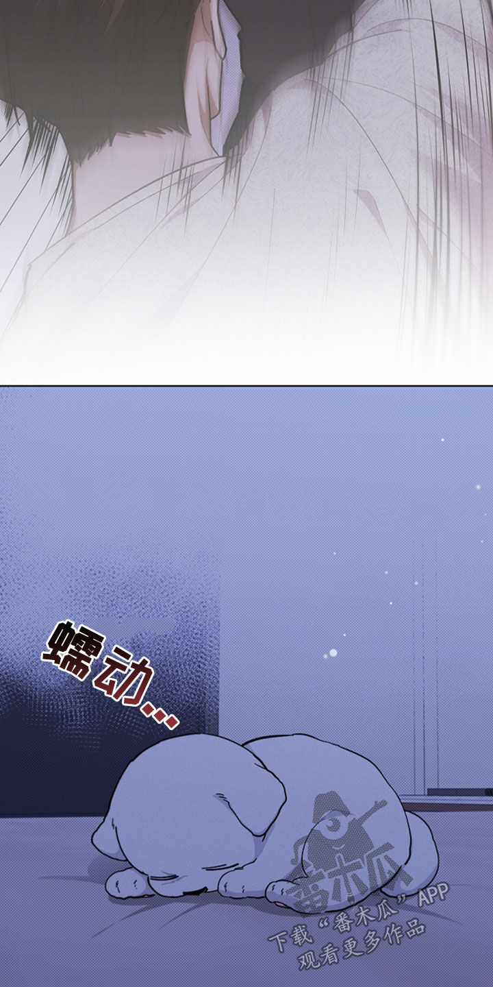 小白狗奇遇记漫画,第35章：你算什么东西4图