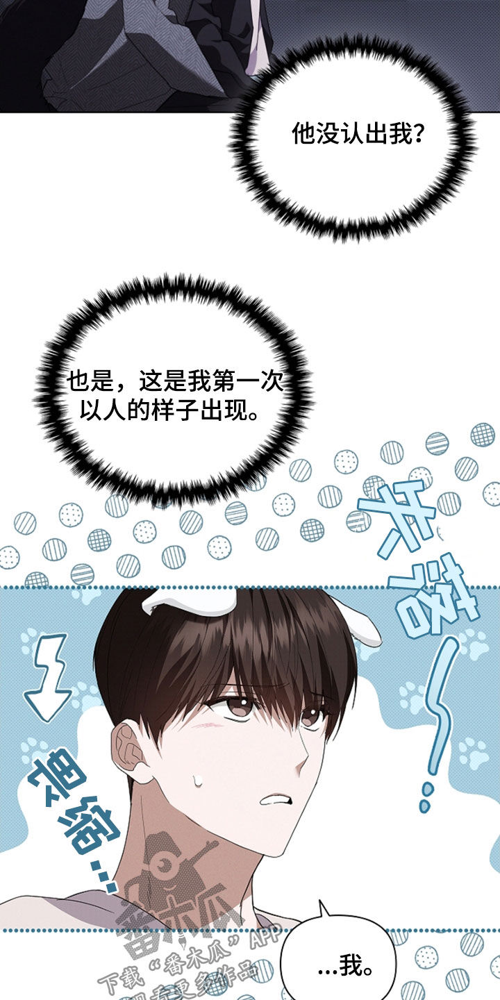 小白狗奇遇记漫画,第48章：去医院1图