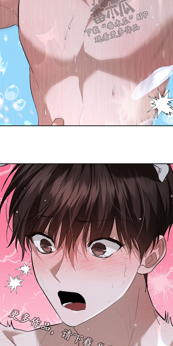 小白狗奇遇记漫画,第77章：【第二季】约定3图