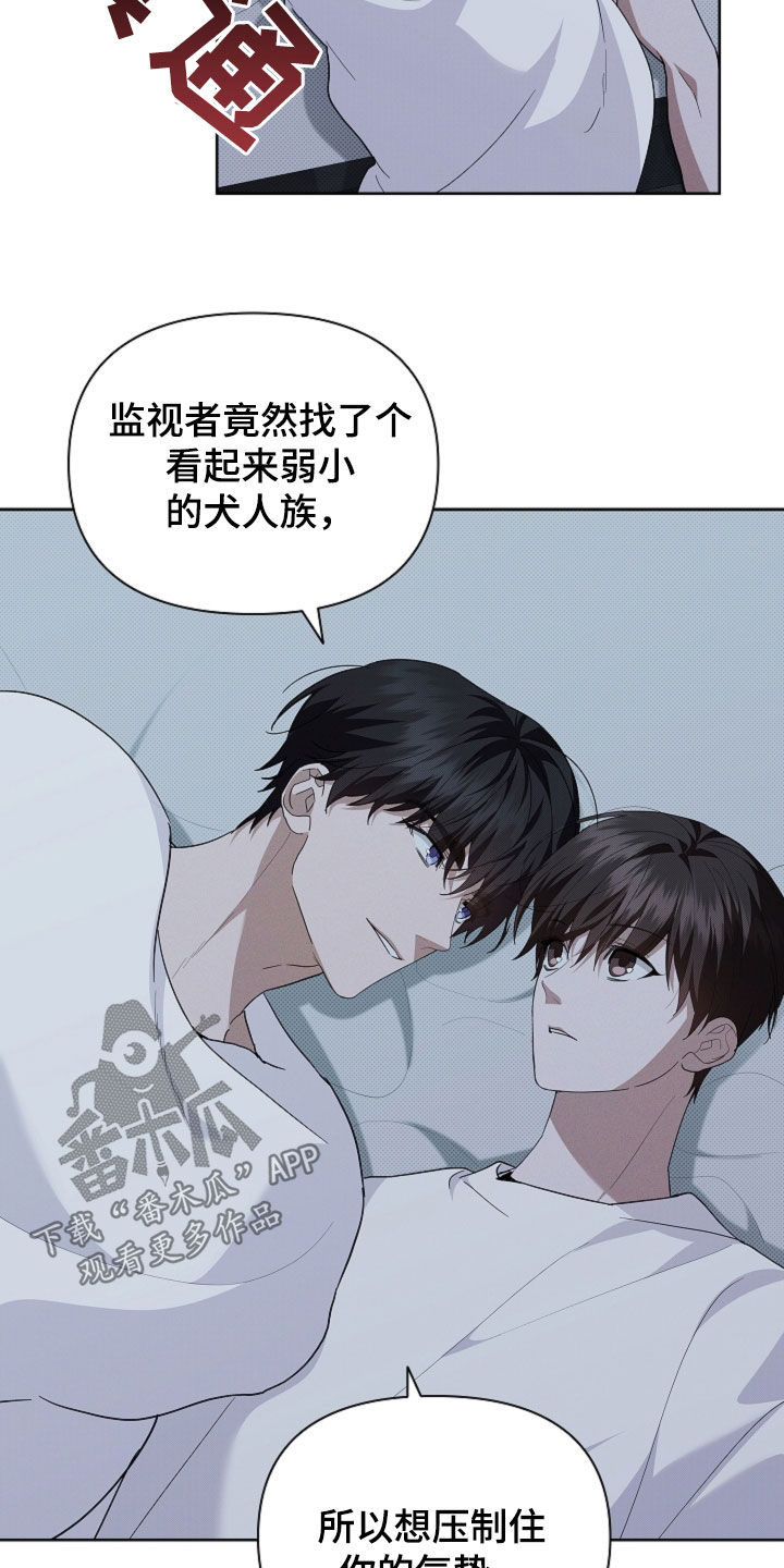 小白狗奇遇记漫画,第65章：做美容3图