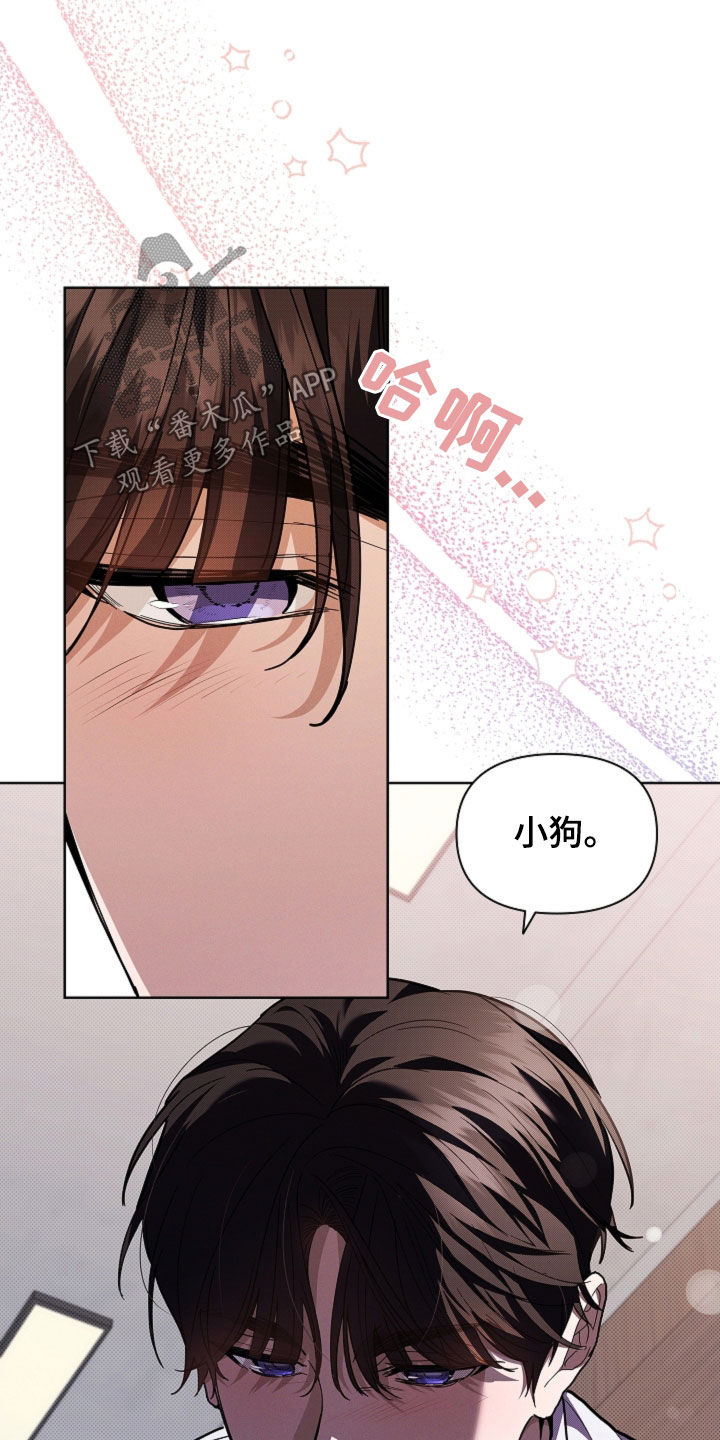 小白狗奇遇记漫画,第42章：是不是疯了1图