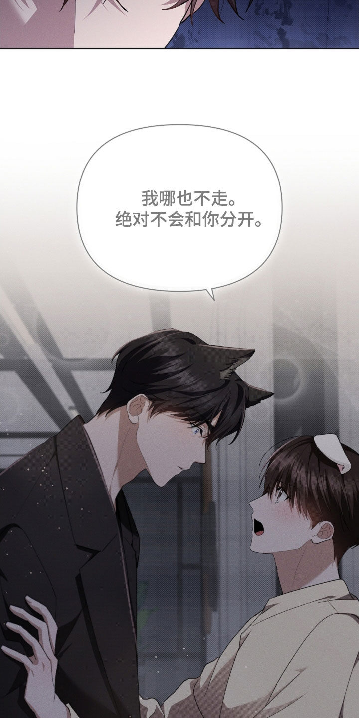小白狗奇遇记漫画,第63章：命运的安排1图