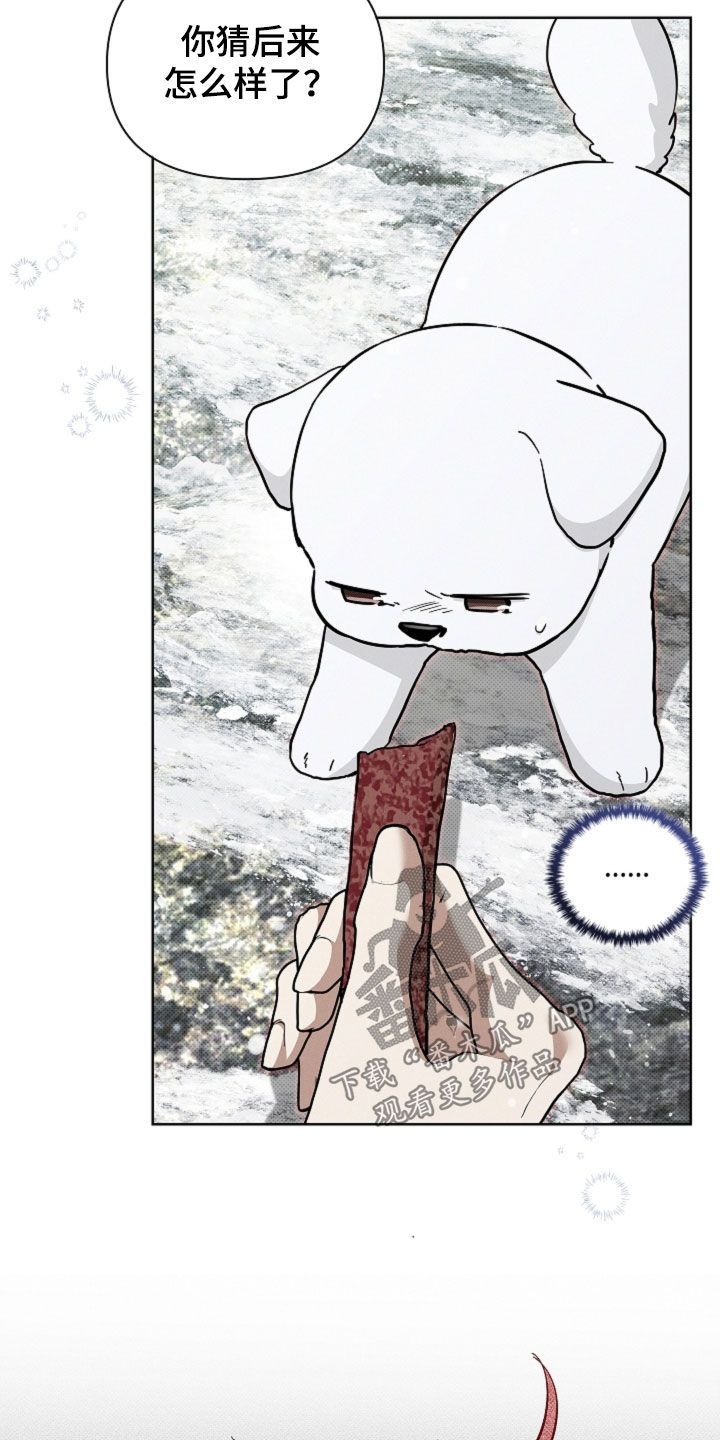 小白狗奇遇记漫画,第80章：【第二季】疯狼4图