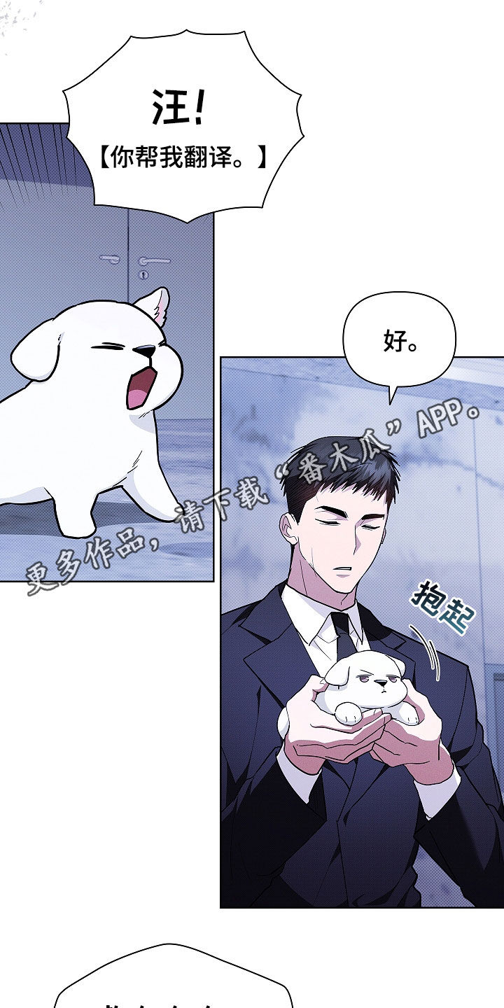 小白狗奇遇记漫画,第45章：报仇1图