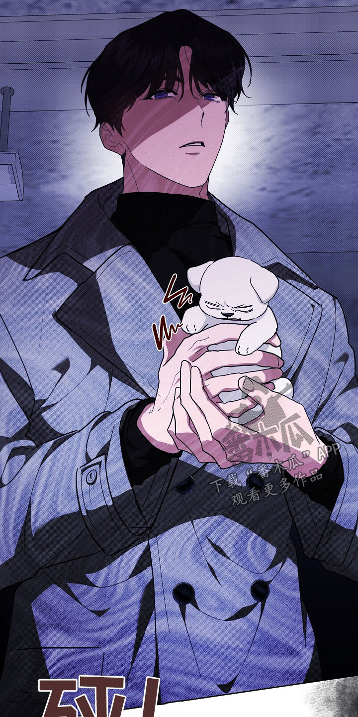 小白狗奇遇记漫画,第45章：报仇5图