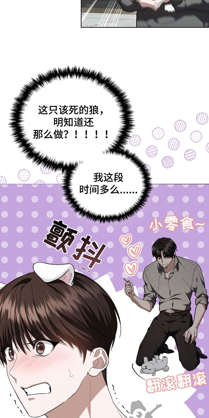 小白狗奇遇记漫画,第43章：当男朋友养3图