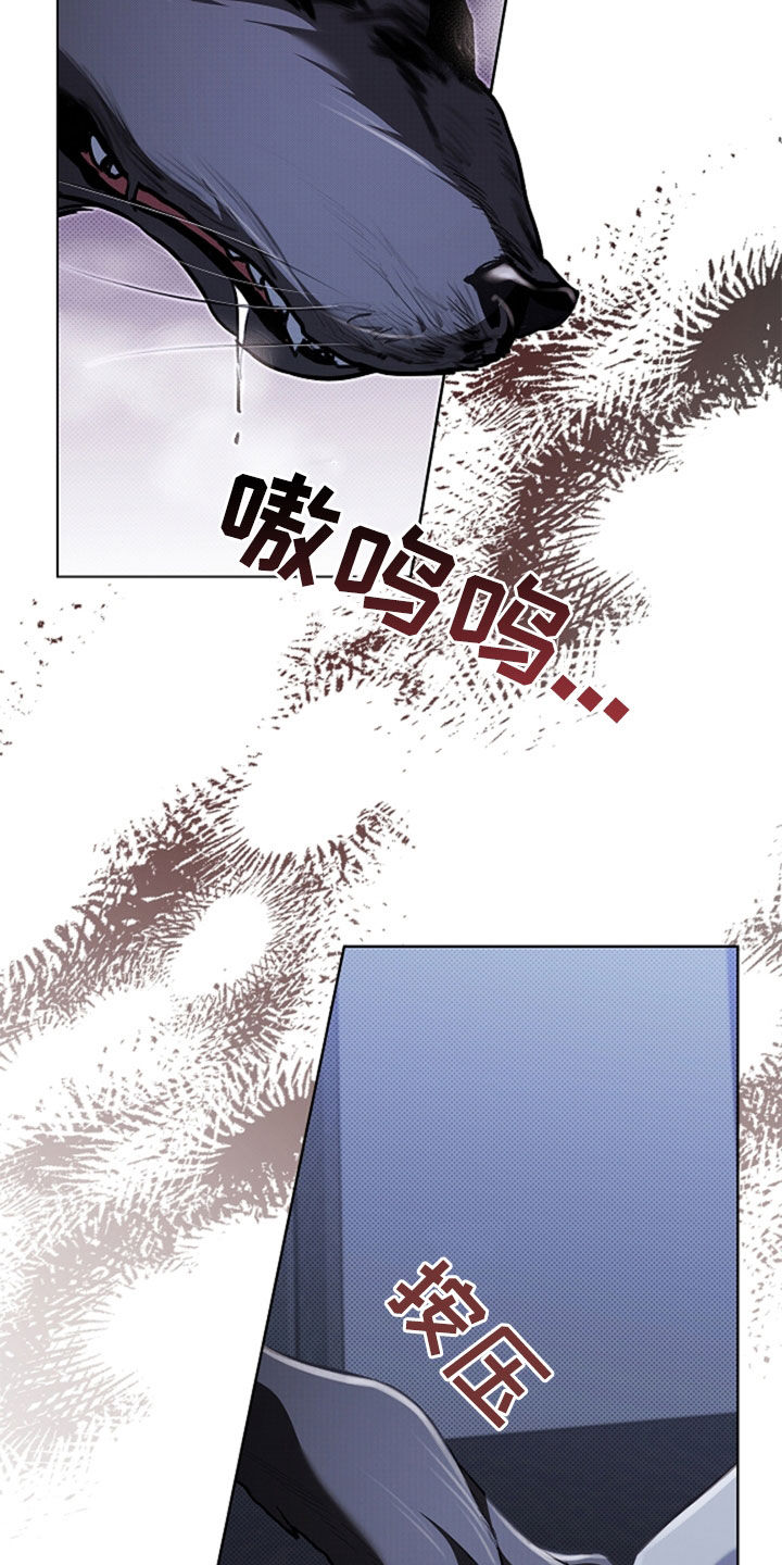 小白狗奇遇记漫画,第47章：他想攻击我3图