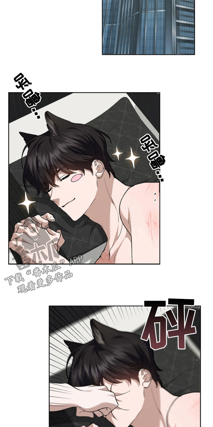 小白狗奇遇记漫画,第61章：真好看2图