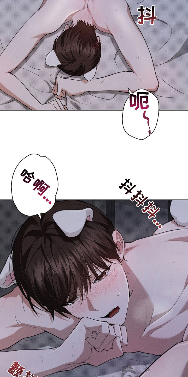 小白狗奇遇记漫画,第60章：成结5图