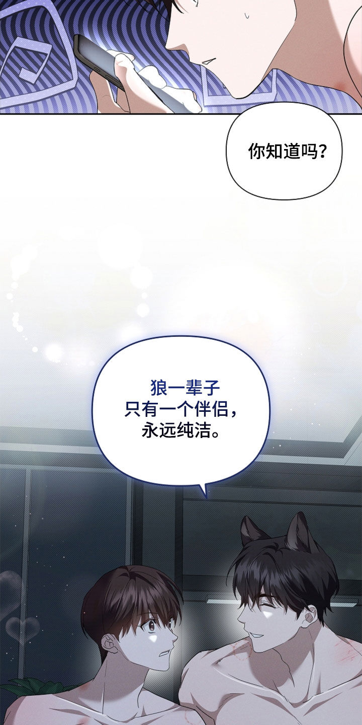 小白狗奇遇记漫画,第64章：我们得结婚了4图