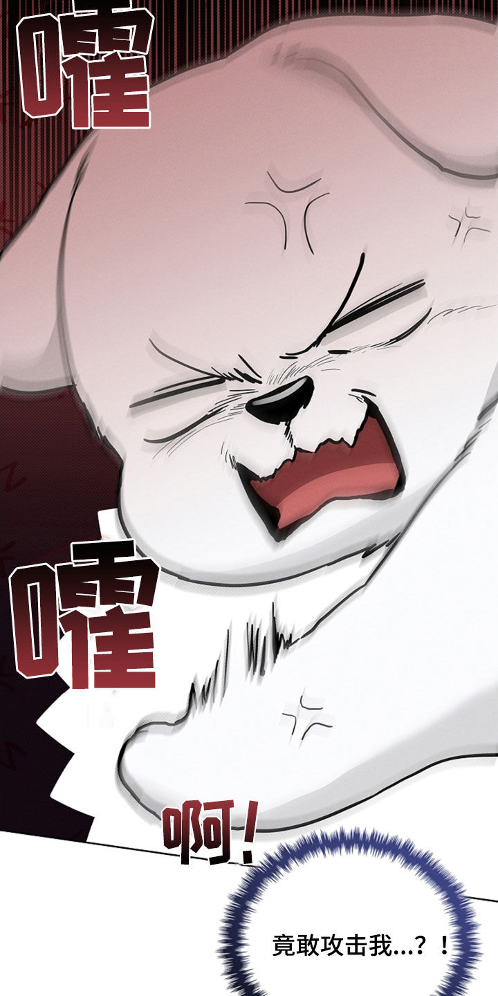 小白狗奇遇记漫画,第47章：他想攻击我5图