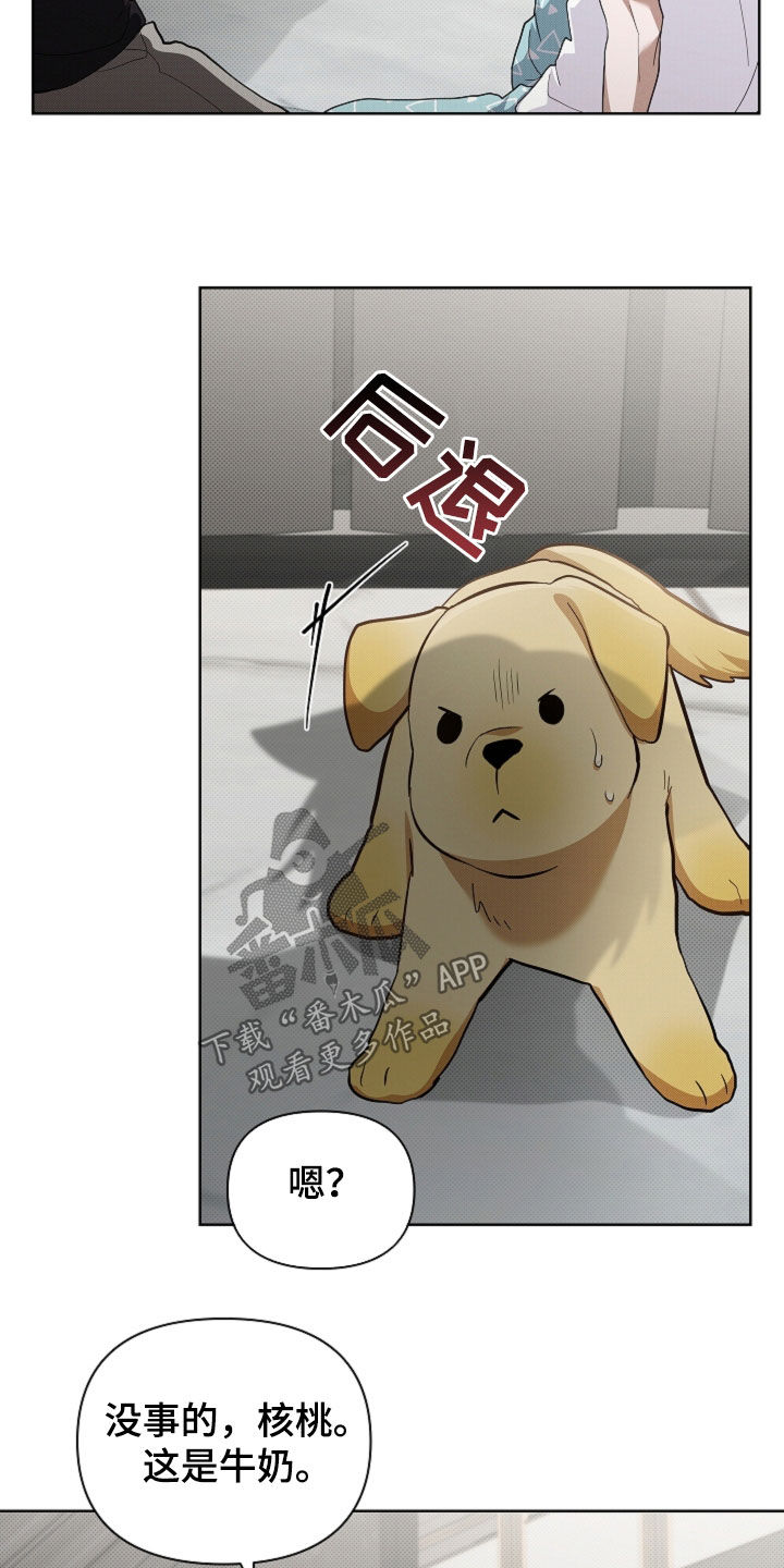 小白狗奇遇记漫画,第100章：【番外】还得我来5图