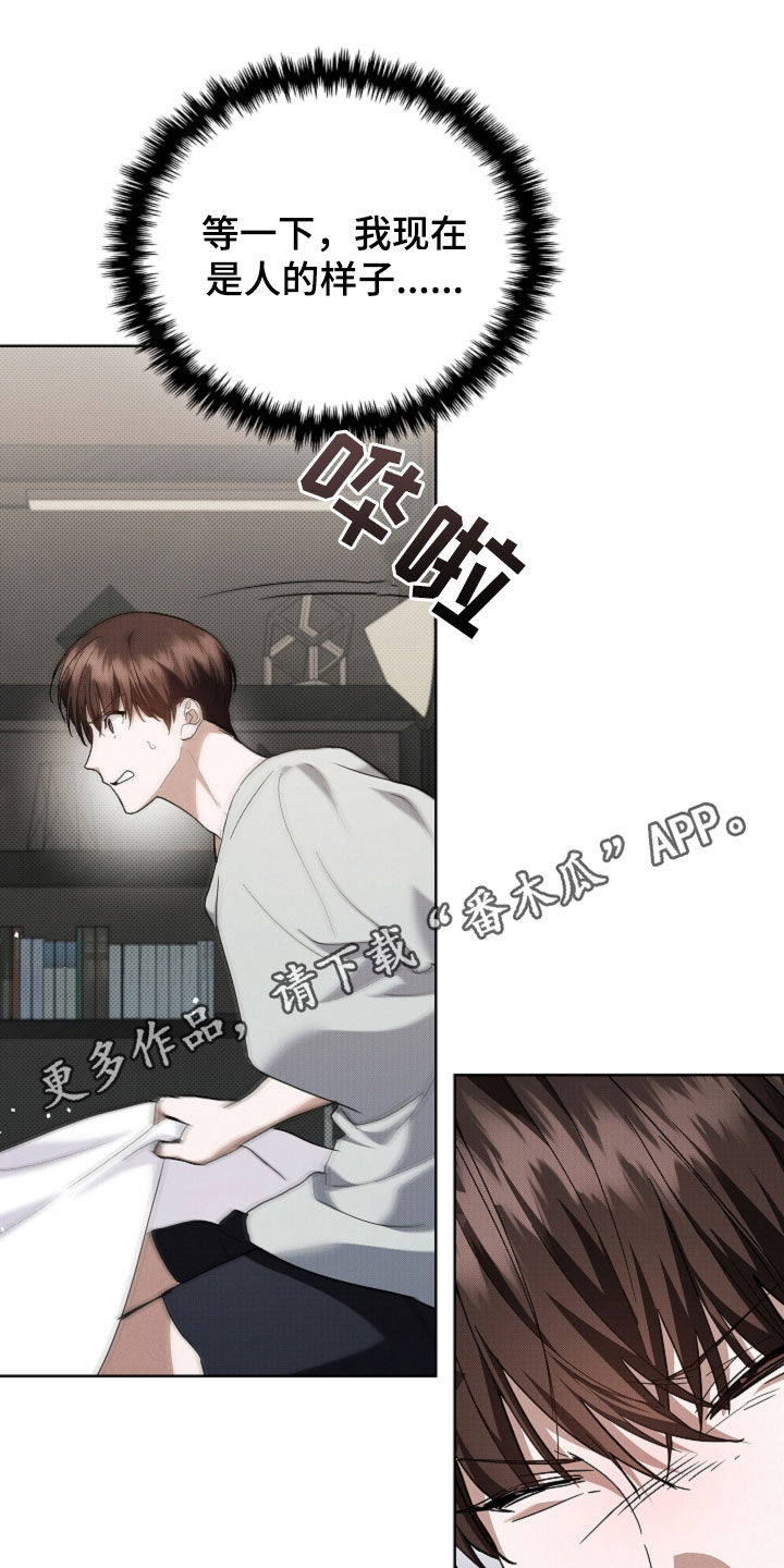 小白狗奇遇记漫画,第42章：是不是疯了1图
