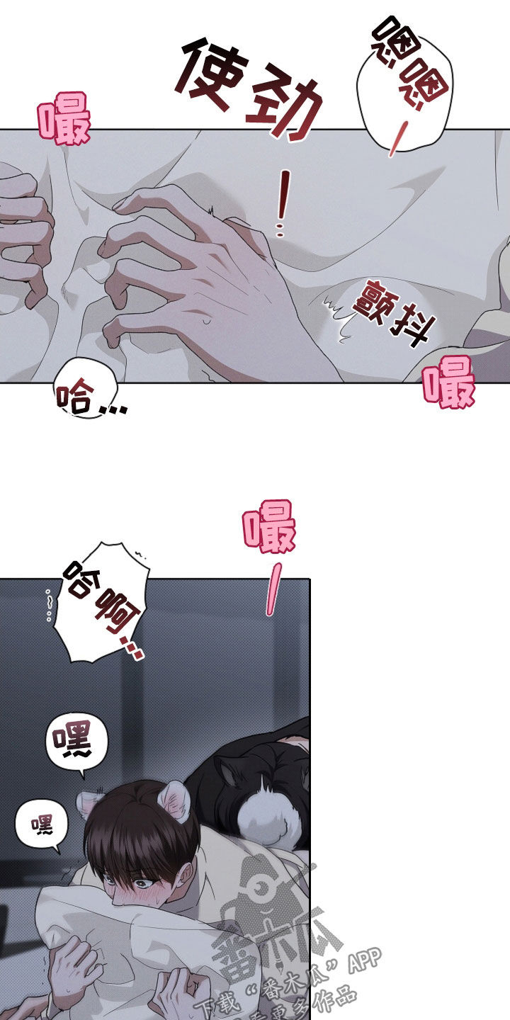 小白狗奇遇记漫画,第60章：成结2图