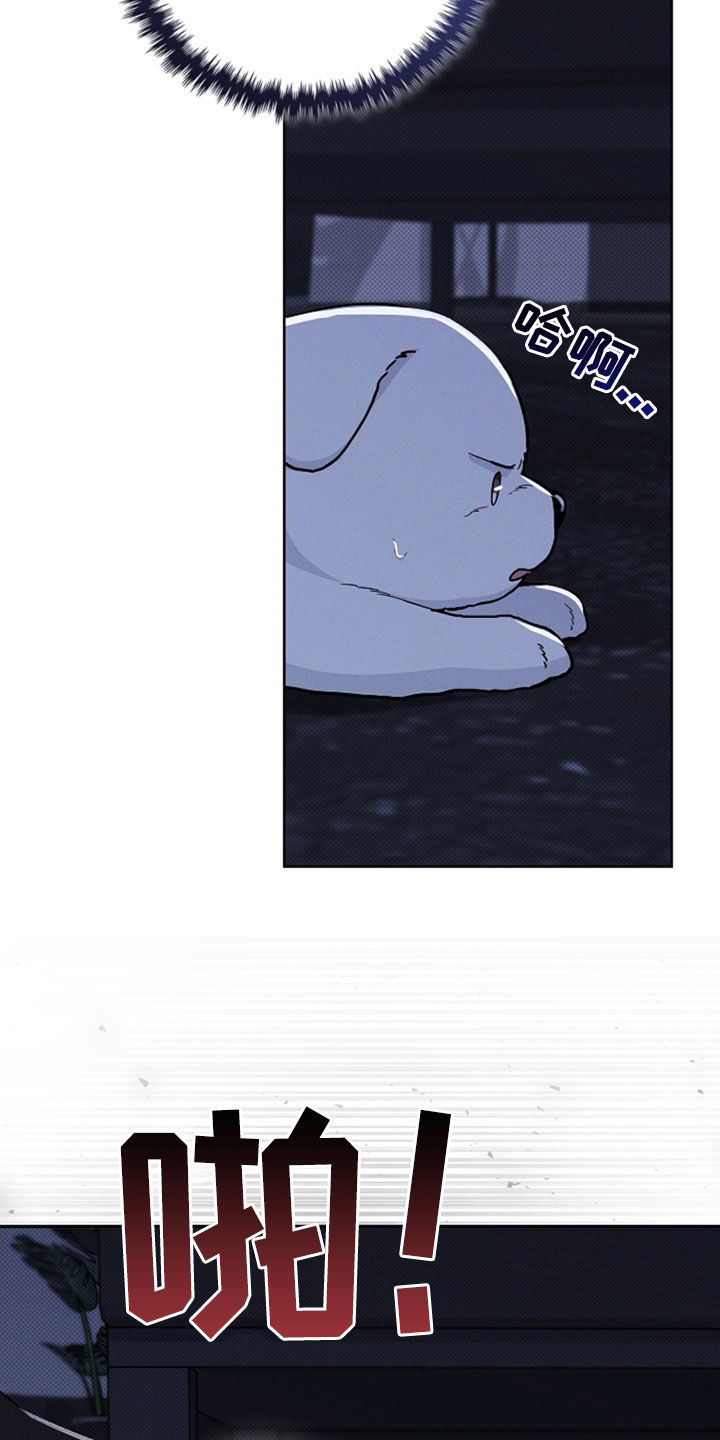 小白狗奇遇记漫画,第47章：他想攻击我2图