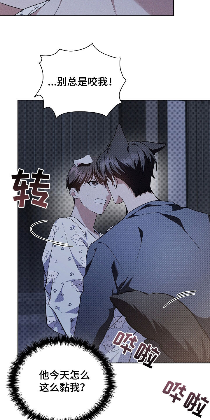 小白狗奇遇记漫画,第46章：这是什么3图