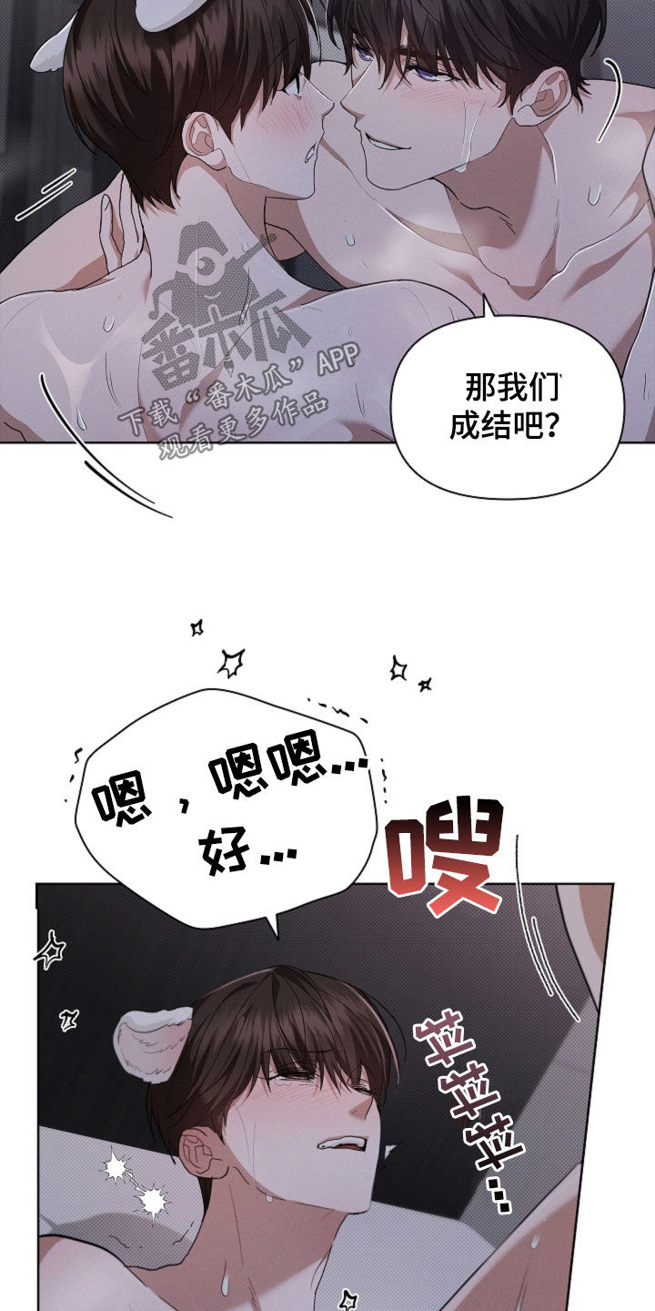 小白狗奇遇记漫画,第60章：成结1图
