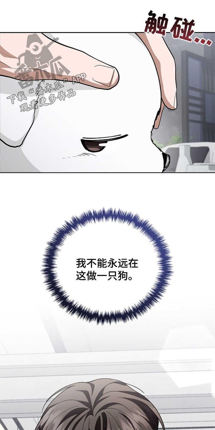 小白狗奇遇记漫画,第36章：打电话4图